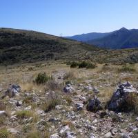 Au Plateau de Suech - Haut Verdon) (10)